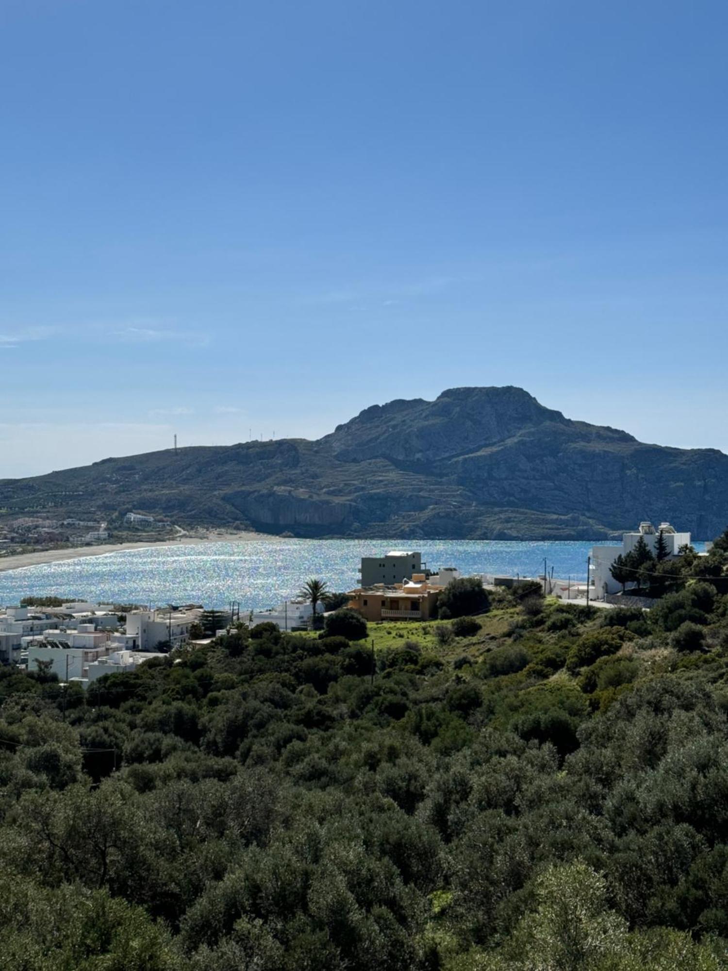 Olive Grove Daire Plakias Dış mekan fotoğraf