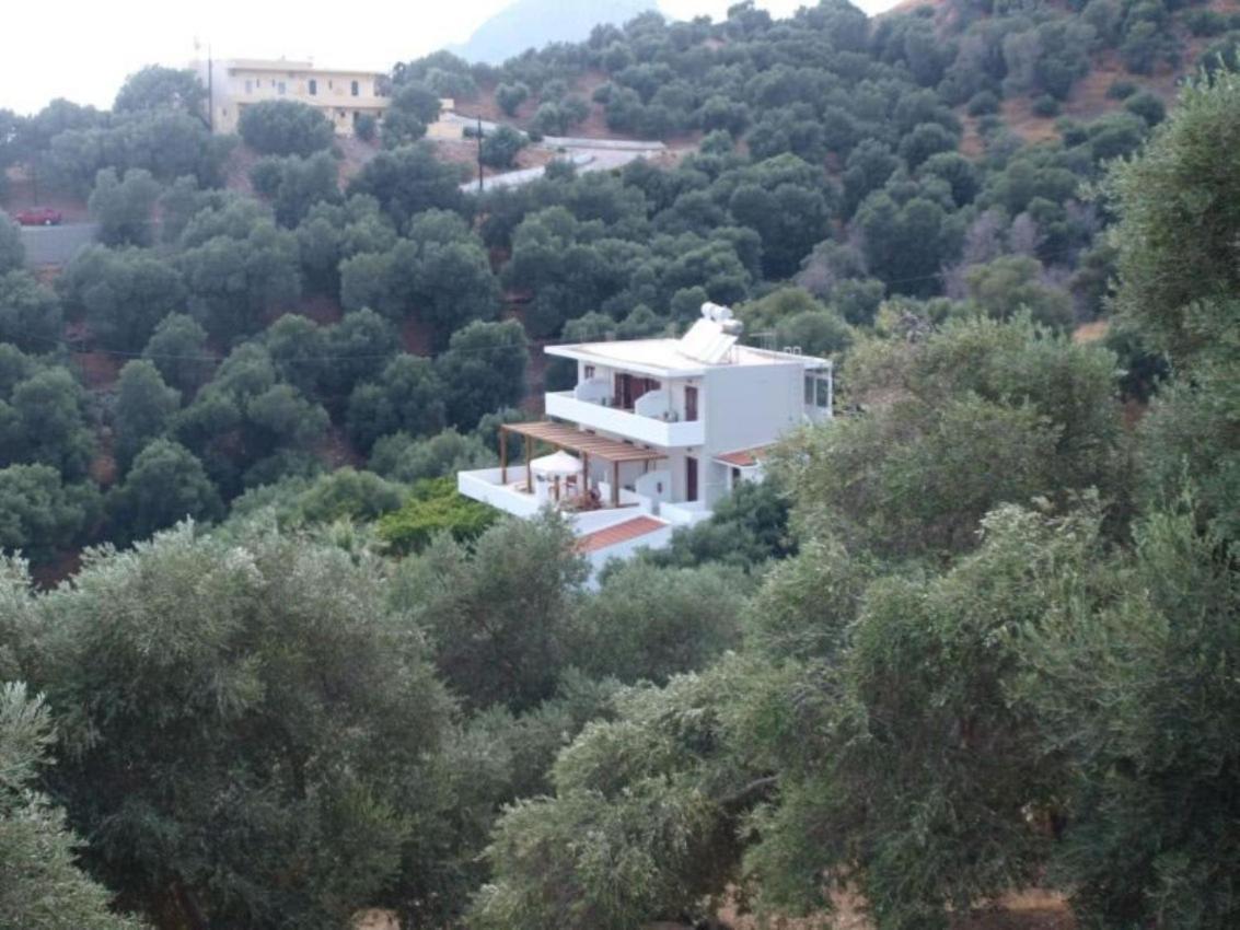 Olive Grove Daire Plakias Dış mekan fotoğraf