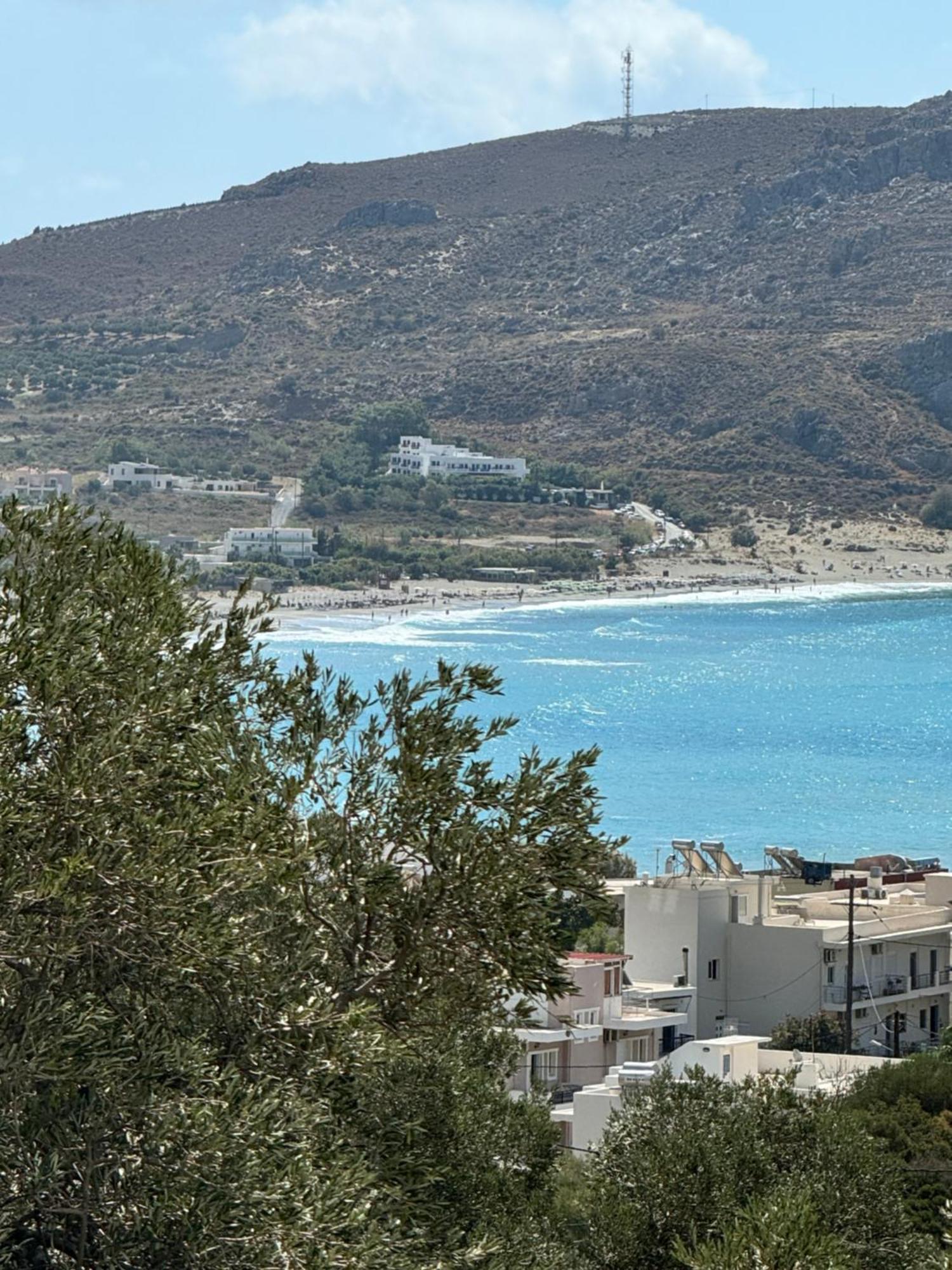 Olive Grove Daire Plakias Dış mekan fotoğraf